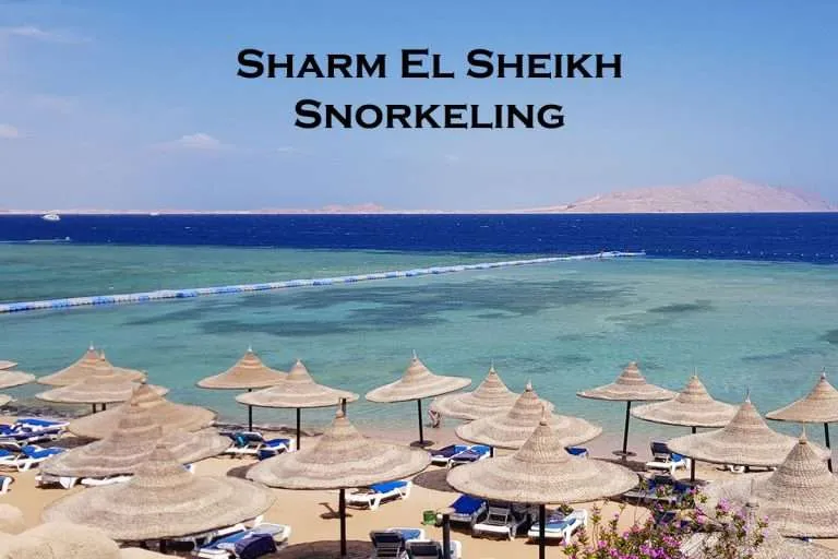 snorkeling Sharm El Sheikh