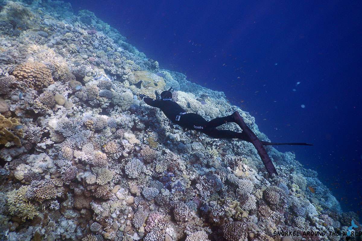 swimming over corals at the Blue Hole
