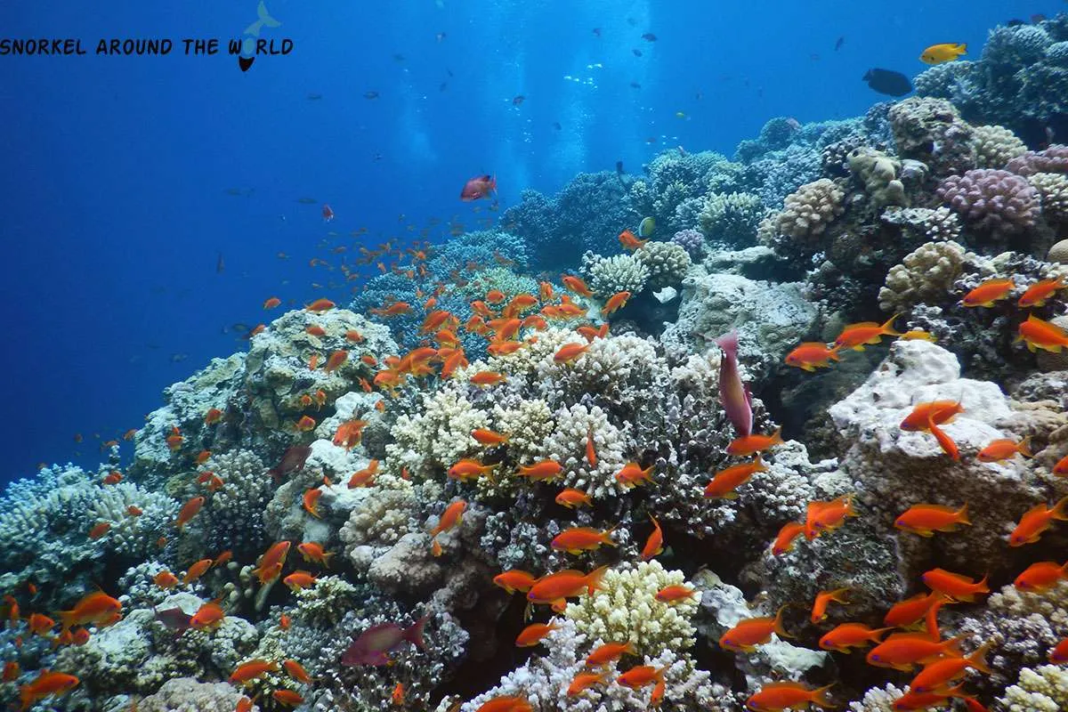 The reef outside of the Blue Hole