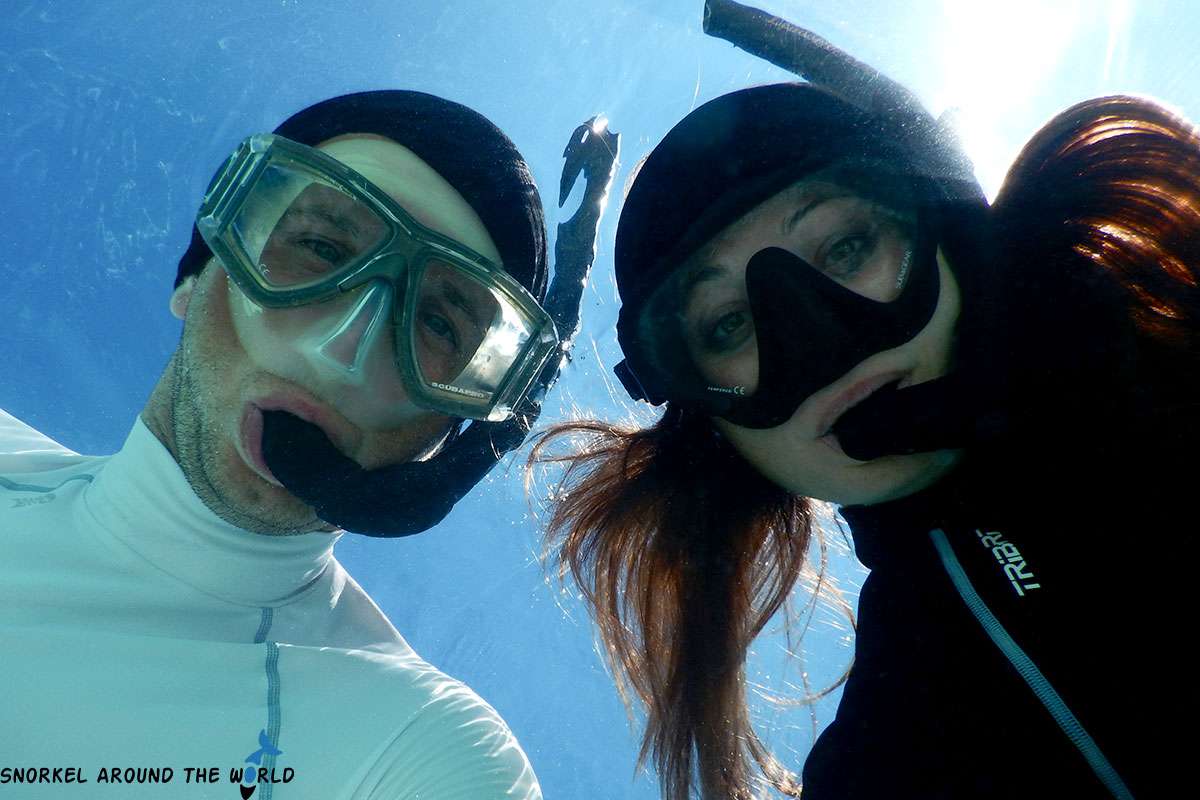 snorkelers with different snorkel masks